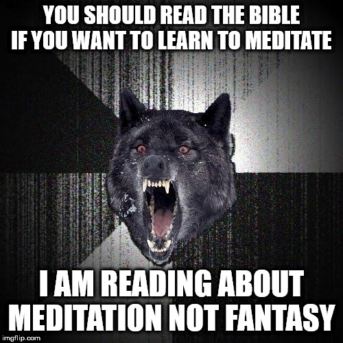 Insanity Wolf Meme | YOU SHOULD READ THE BIBLE IF YOU WANT TO LEARN TO MEDITATE; I AM READING ABOUT MEDITATION NOT FANTASY | image tagged in memes,insanity wolf,AdviceAnimals | made w/ Imgflip meme maker