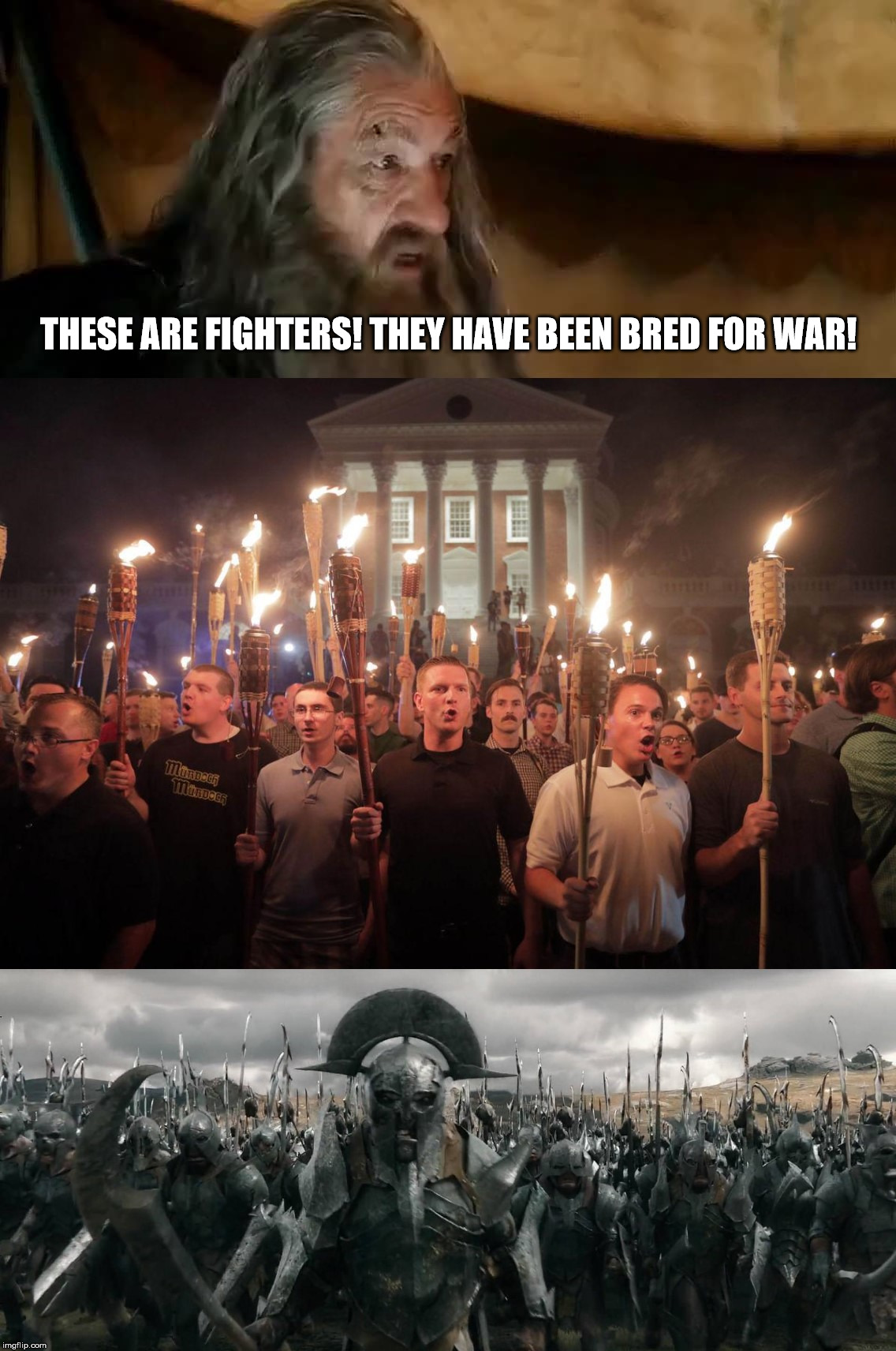 These are fighters!  They have been bred for war! | THESE ARE FIGHTERS! THEY HAVE BEEN BRED FOR WAR! | image tagged in gandalf,supremacists,orcs,might is right,war,fighters | made w/ Imgflip meme maker