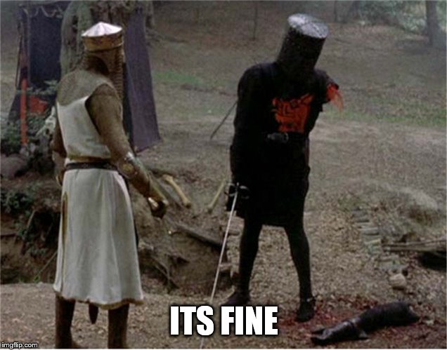 FLesh wound | ITS FINE | image tagged in flesh wound | made w/ Imgflip meme maker