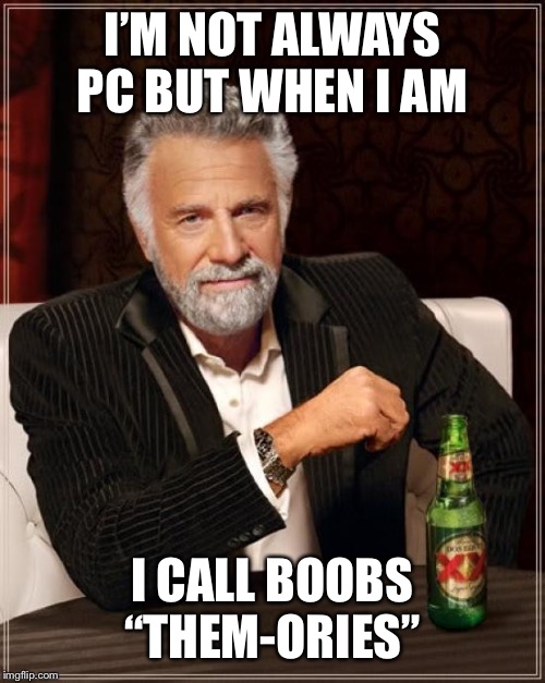 The Most Interesting Man In The World Meme | I’M NOT ALWAYS PC BUT WHEN I AM I CALL BOOBS “THEM-ORIES” | image tagged in memes,the most interesting man in the world | made w/ Imgflip meme maker