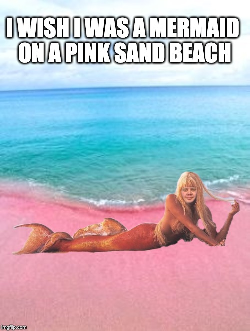 I WISH I WAS A MERMAID 
ON A PINK SAND BEACH | image tagged in mermaid,beach,sand,pink | made w/ Imgflip meme maker