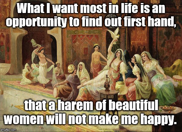 This has been done with money, so I changed it up. | What I want most in life is an opportunity to find out first hand, that a harem of beautiful women will not make me happy. | image tagged in funny | made w/ Imgflip meme maker