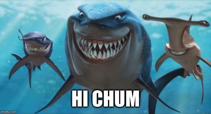 Finding Nemo Sharks | HI CHUM | image tagged in finding nemo sharks | made w/ Imgflip meme maker