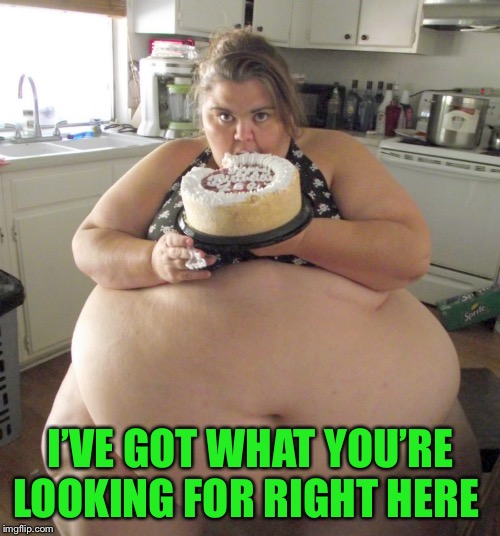 Happy Birthday Fat Girl | I’VE GOT WHAT YOU’RE LOOKING FOR RIGHT HERE | image tagged in happy birthday fat girl | made w/ Imgflip meme maker