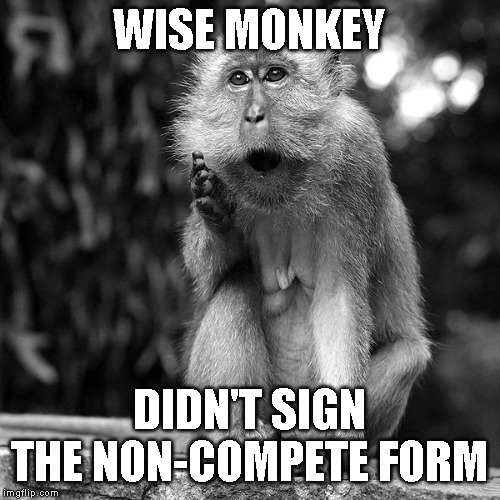 Wise Monkey | WISE MONKEY DIDN'T SIGN THE NON-COMPETE FORM | image tagged in wise monkey | made w/ Imgflip meme maker
