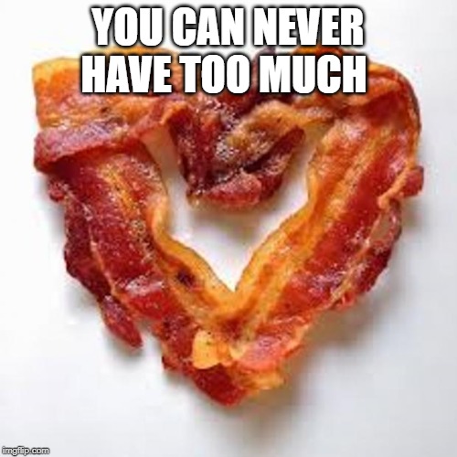 bacon | YOU CAN NEVER HAVE TOO MUCH | image tagged in bacon | made w/ Imgflip meme maker