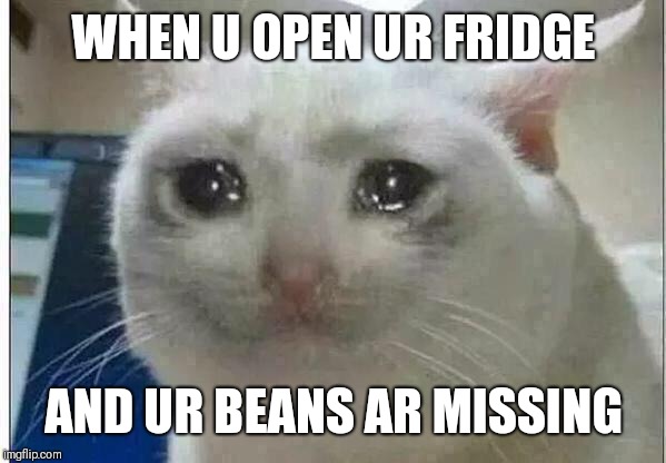 crying cat | WHEN U OPEN UR FRIDGE; AND UR BEANS AR MISSING | image tagged in crying cat | made w/ Imgflip meme maker