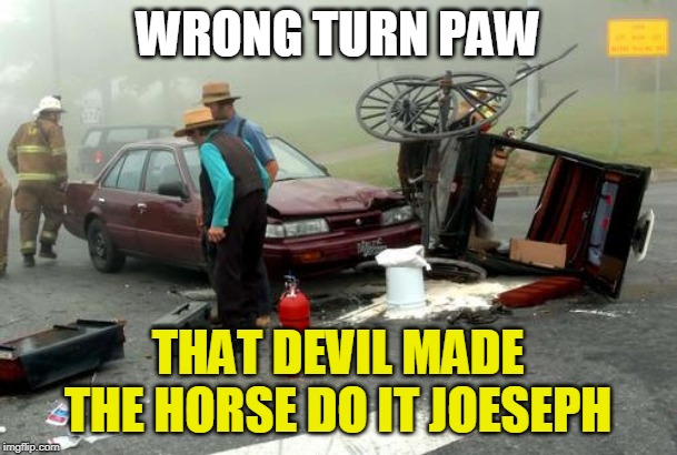 Amish Car Accident | WRONG TURN PAW THAT DEVIL MADE THE HORSE DO IT JOESEPH | image tagged in amish car accident | made w/ Imgflip meme maker