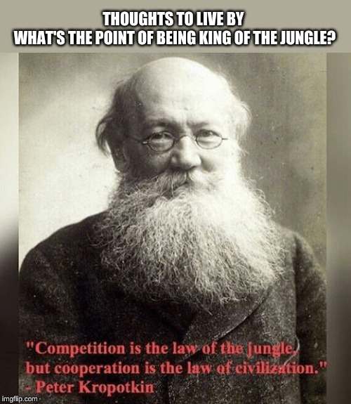 the jungle | THOUGHTS TO LIVE BY 

WHAT'S THE POINT OF BEING KING OF THE JUNGLE? | image tagged in capitalism,communism,utopia | made w/ Imgflip meme maker