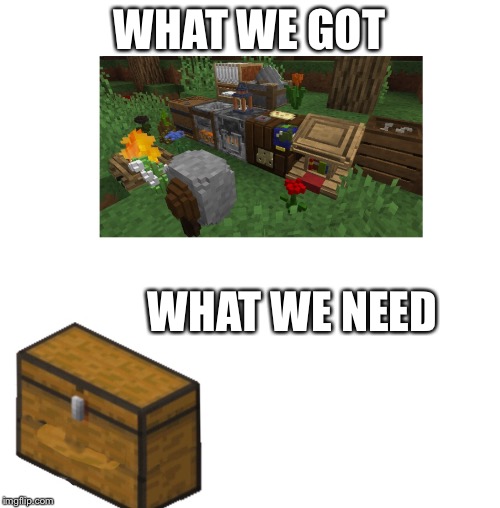 Funny meme | WHAT WE GOT; WHAT WE NEED | image tagged in minecraft,funny,video games | made w/ Imgflip meme maker