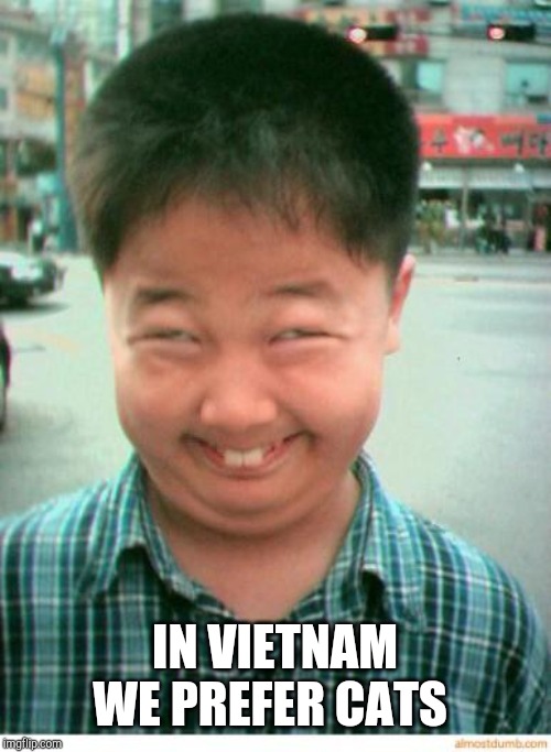 funny asian face | IN VIETNAM WE PREFER CATS | image tagged in funny asian face | made w/ Imgflip meme maker
