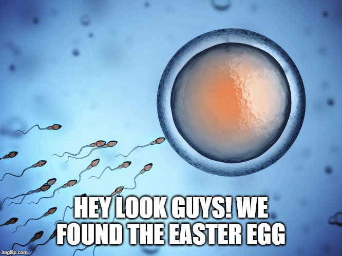 Sperm and Egg Fertilization | HEY LOOK GUYS! WE FOUND THE EASTER EGG | image tagged in sperm and egg fertilization | made w/ Imgflip meme maker