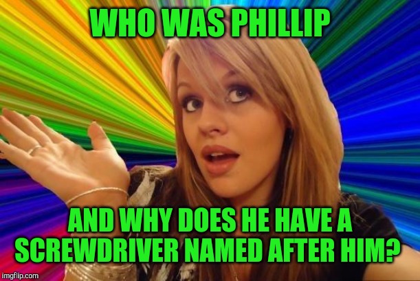 And why is there a plum named after Bob?... | WHO WAS PHILLIP; AND WHY DOES HE HAVE A SCREWDRIVER NAMED AFTER HIM? | image tagged in memes,dumb blonde,jbmemegeek,bad puns | made w/ Imgflip meme maker