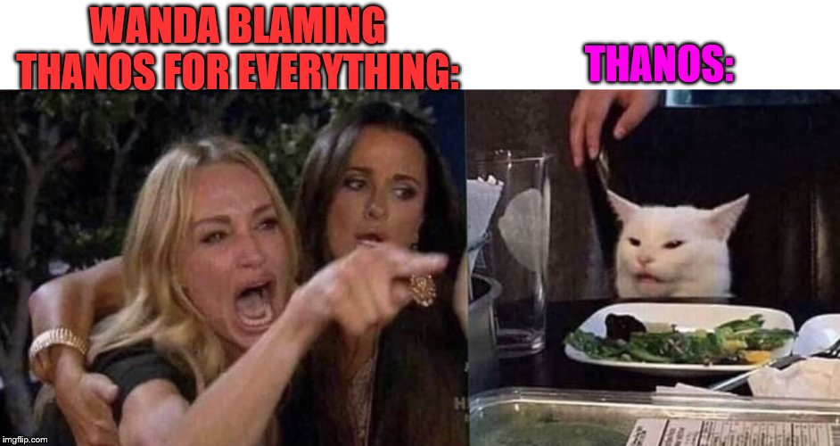 woman yelling at cat | WANDA BLAMING THANOS FOR EVERYTHING:; THANOS: | image tagged in woman yelling at cat,thanos | made w/ Imgflip meme maker