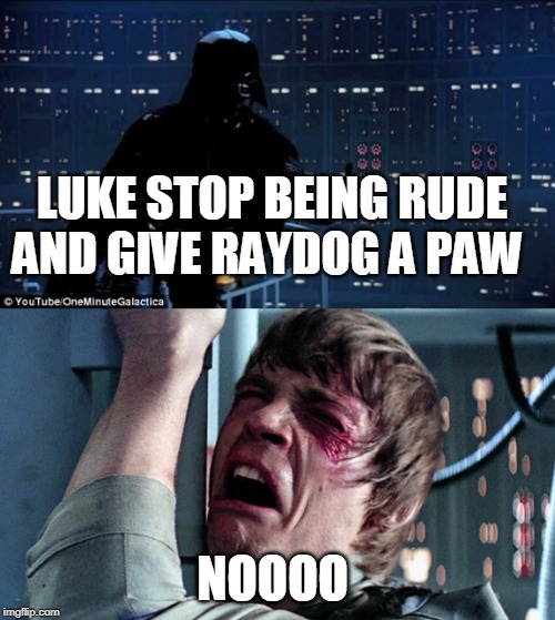 How rude ! | LUKE STOP BEING RUDE AND GIVE RAYDOG A PAW; NOOOO | image tagged in darth vader luke skywalker,raydog | made w/ Imgflip meme maker