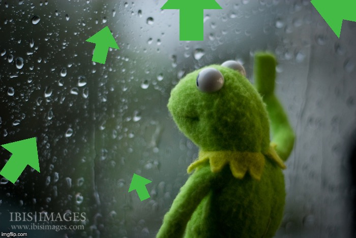 Kermit the frog rainy day | image tagged in kermit the frog rainy day | made w/ Imgflip meme maker