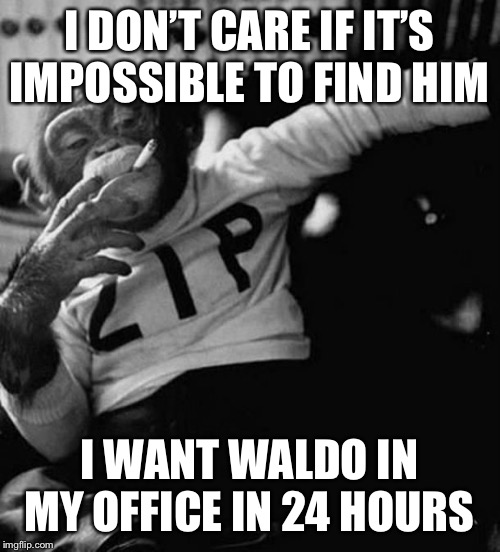 monkey smoke zip | I DON’T CARE IF IT’S IMPOSSIBLE TO FIND HIM; I WANT WALDO IN MY OFFICE IN 24 HOURS | image tagged in monkey smoke zip | made w/ Imgflip meme maker