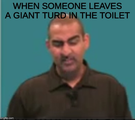WHEN SOMEONE LEAVES A GIANT TURD IN THE TOILET | image tagged in turds | made w/ Imgflip meme maker