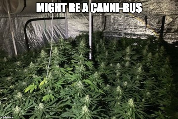 MIGHT BE A CANNI-BUS | made w/ Imgflip meme maker