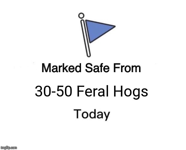 Marked Safe From | 30-50 Feral Hogs | image tagged in memes,marked safe from | made w/ Imgflip meme maker