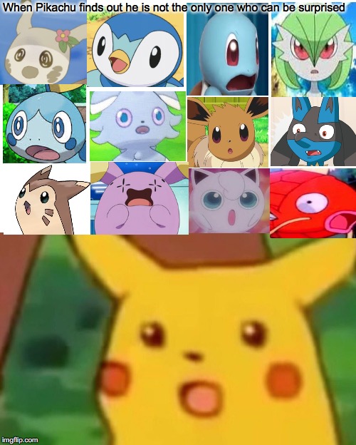 Pikachu's not the only King | When Pikachu finds out he is not the only one who can be surprised | image tagged in surprised pikachu | made w/ Imgflip meme maker