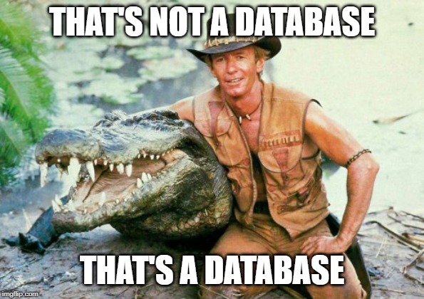 Crocodile Dundee Paul Hogan | THAT'S NOT A DATABASE; THAT'S A DATABASE | image tagged in crocodile dundee paul hogan | made w/ Imgflip meme maker