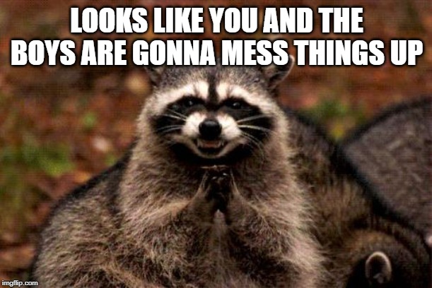 Evil Plotting Raccoon Meme | LOOKS LIKE YOU AND THE BOYS ARE GONNA MESS THINGS UP | image tagged in memes,evil plotting raccoon | made w/ Imgflip meme maker