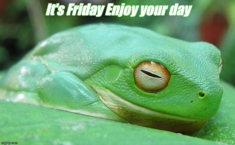 It's Friday enjoy your day | It's Friday Enjoy your day | image tagged in it's friday,enjoy your day,good morning frogs,frogs,memes | made w/ Imgflip meme maker