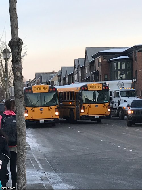 These 2 Buses Collided | image tagged in bus,school bus,fail,frostystarlord | made w/ Imgflip meme maker