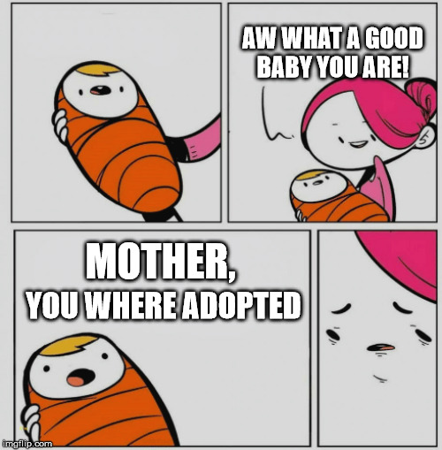 HOW | AW WHAT A GOOD BABY YOU ARE! MOTHER, YOU WHERE ADOPTED | image tagged in mother | made w/ Imgflip meme maker