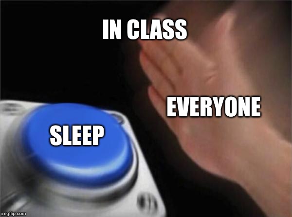 Blank Nut Button Meme | IN CLASS; EVERYONE; SLEEP | image tagged in memes,blank nut button | made w/ Imgflip meme maker
