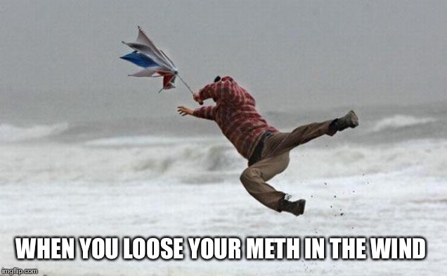 windy | WHEN YOU LOOSE YOUR METH IN THE WIND | image tagged in windy | made w/ Imgflip meme maker