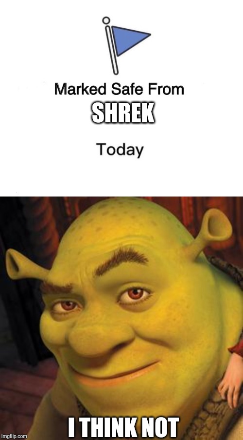 SHREK; I THINK NOT | image tagged in shrek sexy face,memes,marked safe from | made w/ Imgflip meme maker