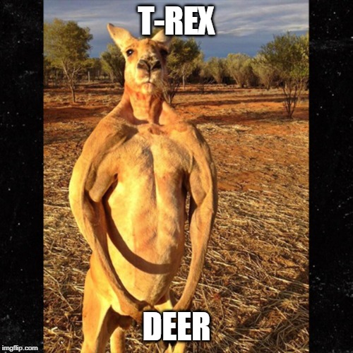 kangaroo | T-REX; DEER | image tagged in kangaroo | made w/ Imgflip meme maker