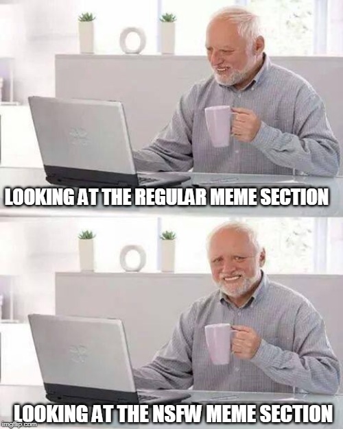 it's turl | LOOKING AT THE REGULAR MEME SECTION; LOOKING AT THE NSFW MEME SECTION | image tagged in memes,hide the pain harold | made w/ Imgflip meme maker