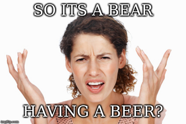 Indignant | SO ITS A BEAR; HAVING A BEER? | image tagged in indignant | made w/ Imgflip meme maker