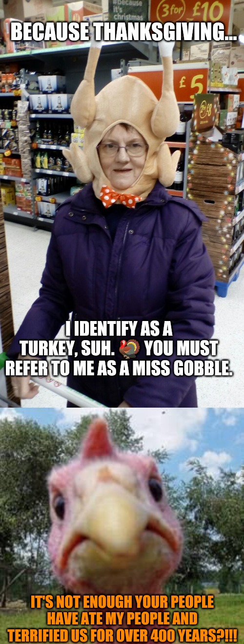 Because Thanksgiving | BECAUSE THANKSGIVING... I IDENTIFY AS A TURKEY, SUH. 🦃 YOU MUST REFER TO ME AS A MISS GOBBLE. IT'S NOT ENOUGH YOUR PEOPLE HAVE ATE MY PEOPLE AND TERRIFIED US FOR OVER 400 YEARS?!!! | image tagged in turkey,crazy lady turkey head,racism,transgender,gender identity,cultural appropriation | made w/ Imgflip meme maker