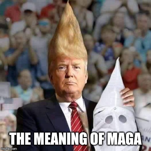 Memes | THE MEANING OF MAGA | image tagged in creepy condescending wonka | made w/ Imgflip meme maker