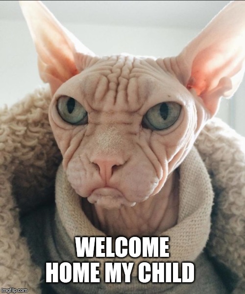 WELCOME HOME MY CHILD | made w/ Imgflip meme maker