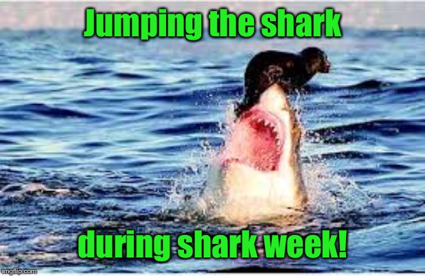 That seal should buy a lottery ticket! | Jumping the shark; during shark week! | image tagged in seal,shark,shark week,survive | made w/ Imgflip meme maker