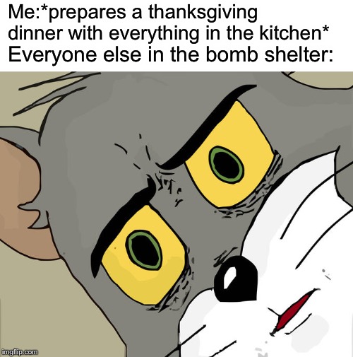 Unsettled Tom Meme | Me:*prepares a thanksgiving dinner with everything in the kitchen*; Everyone else in the bomb shelter: | image tagged in memes,unsettled tom | made w/ Imgflip meme maker