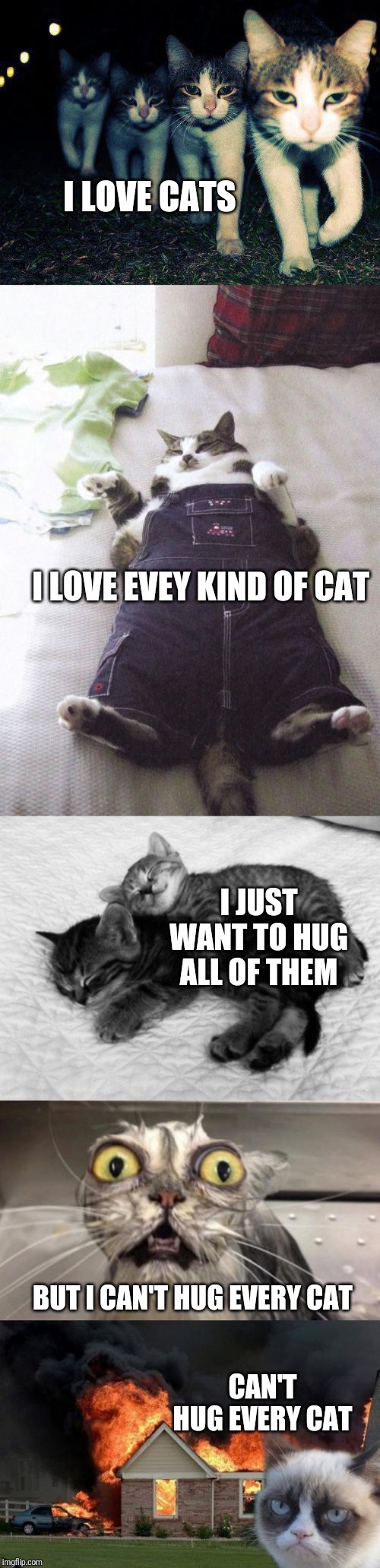 Can't hug every cat | I LOVE CATS; I LOVE EVEY KIND OF CAT; I JUST WANT TO HUG ALL OF THEM; BUT I CAN'T HUG EVERY CAT; CAN'T HUG EVERY CAT | image tagged in memes,fat cat,wrong neighboorhood cats,burn kitty,crazy cat,cuddle cats | made w/ Imgflip meme maker