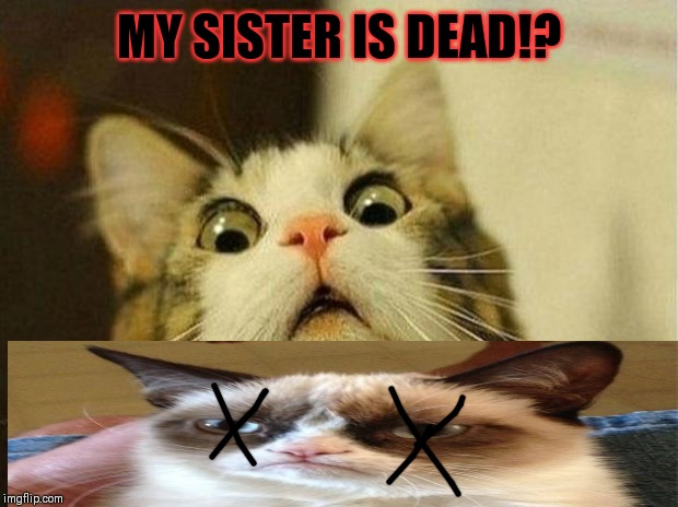 Scared Cat Meme | MY SISTER IS DEAD!? | image tagged in memes,scared cat | made w/ Imgflip meme maker