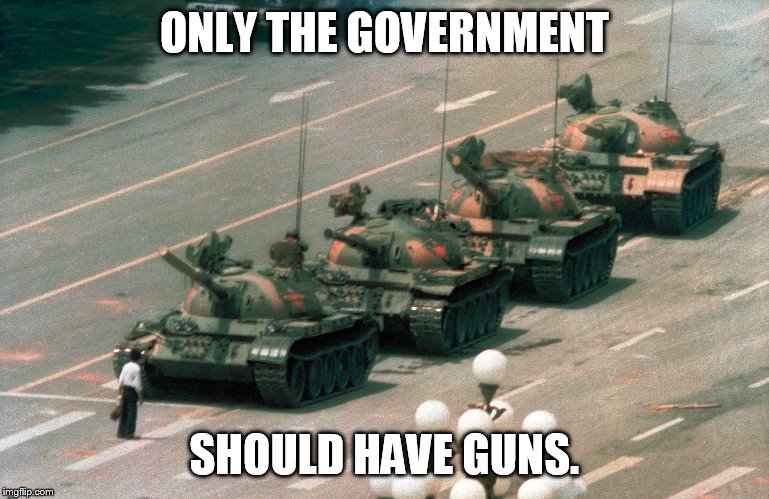 Tienanmen square tank guy | ONLY THE GOVERNMENT; SHOULD HAVE GUNS. | image tagged in tienanmen square tank guy | made w/ Imgflip meme maker