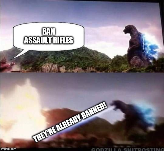 Facts Trump outrage. | BAN ASSAULT RIFLES; THEY'RE ALREADY BANNED! | image tagged in godzilla hates x | made w/ Imgflip meme maker