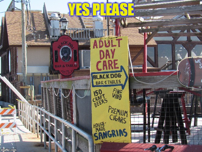 Cedar Key Florida for those that are wondering | YES PLEASE | image tagged in i need it | made w/ Imgflip meme maker