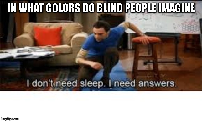 i dont need sleep i need answers | IN WHAT COLORS DO BLIND PEOPLE IMAGINE | image tagged in i dont need sleep i need answers | made w/ Imgflip meme maker