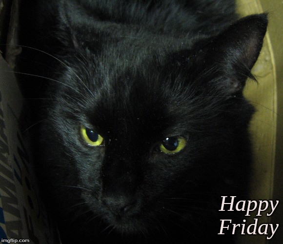 Happy Friday | Happy
Friday | image tagged in happy friday,memes,good morning,good morning cats,good morning black cats | made w/ Imgflip meme maker