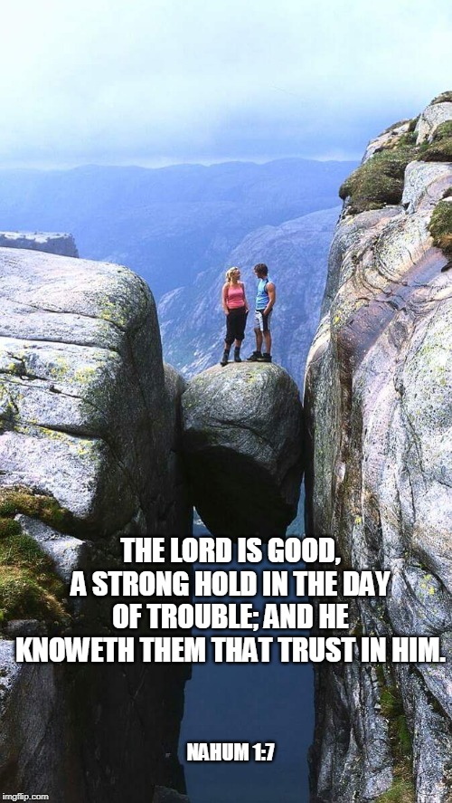 Trust | THE LORD IS GOOD, A STRONG HOLD IN THE DAY OF TROUBLE; AND HE KNOWETH THEM THAT TRUST IN HIM. NAHUM 1:7 | image tagged in trust | made w/ Imgflip meme maker