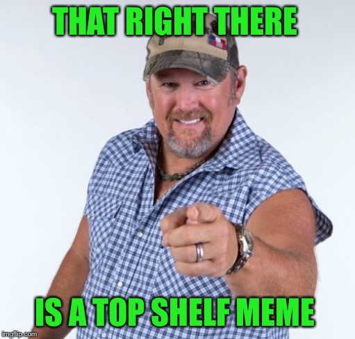 Larry the Cable Guy | THAT RIGHT THERE IS A TOP SHELF MEME | image tagged in larry the cable guy | made w/ Imgflip meme maker